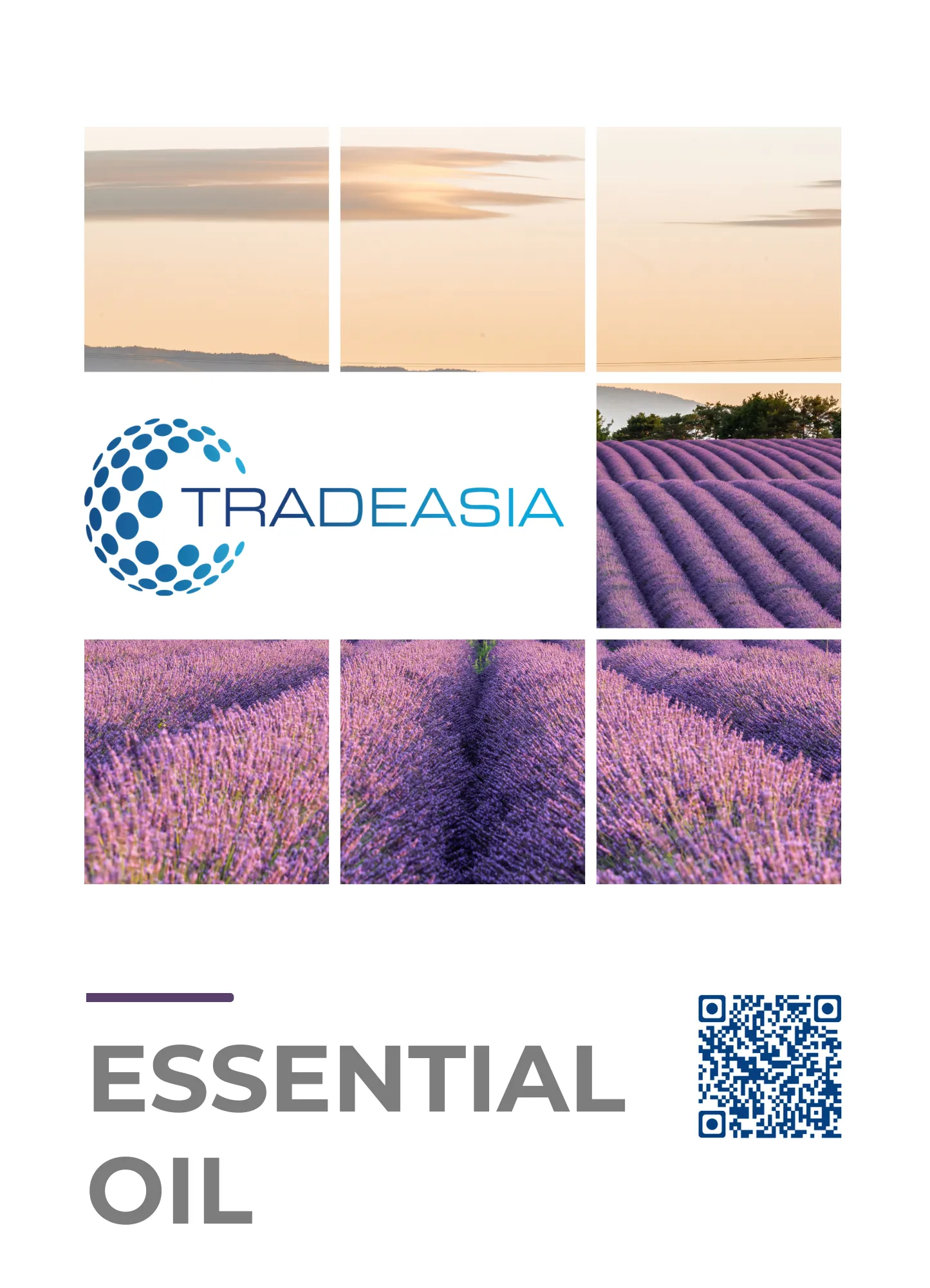 Tradeasia Int - Company Profile