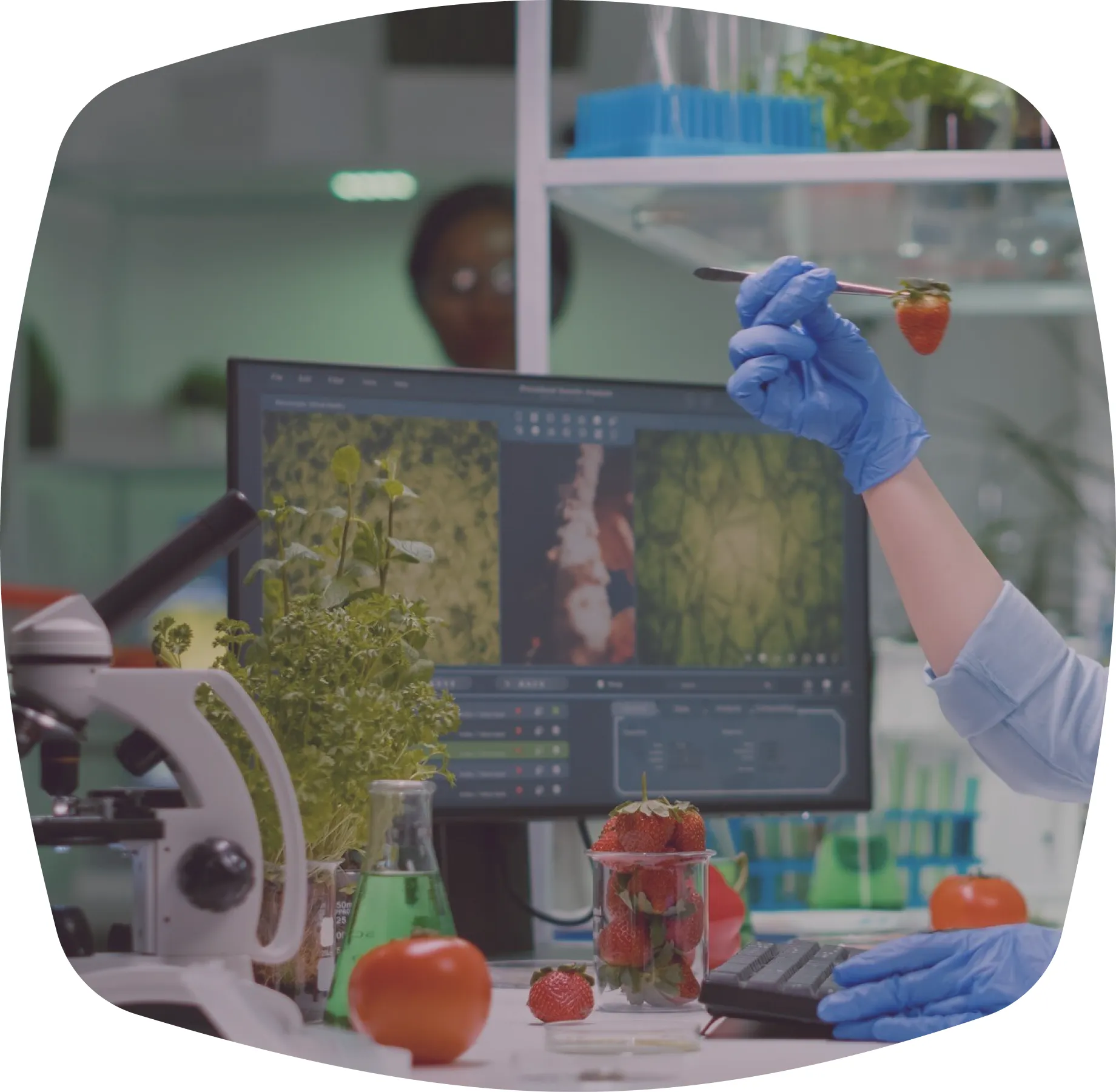 Stringent Testing Protocols