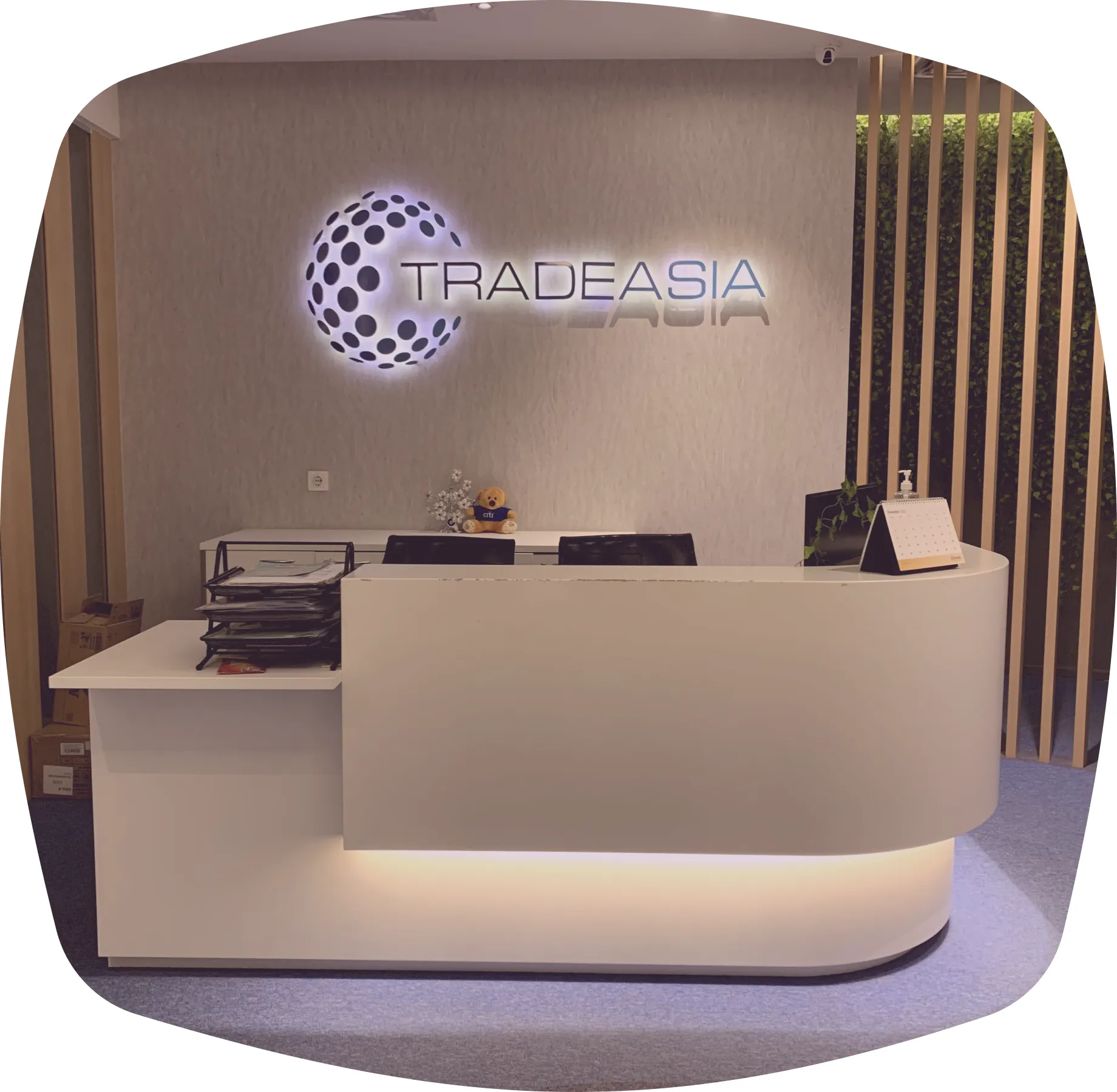 Our Company