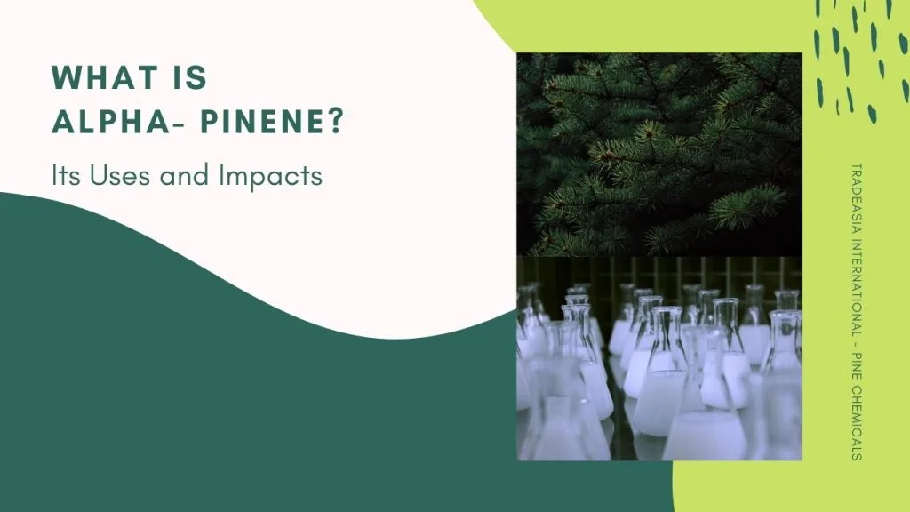 什么是 Alpha Pinene?用途和影响