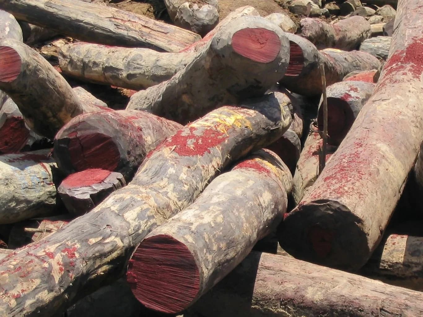 Rosewood oil