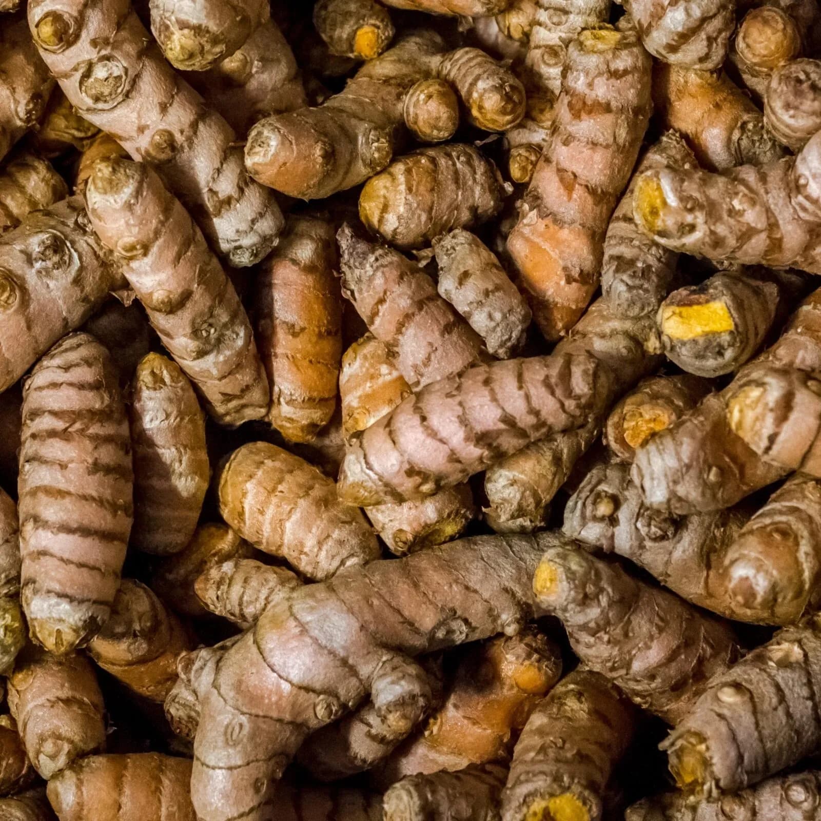 Turmeric Oil