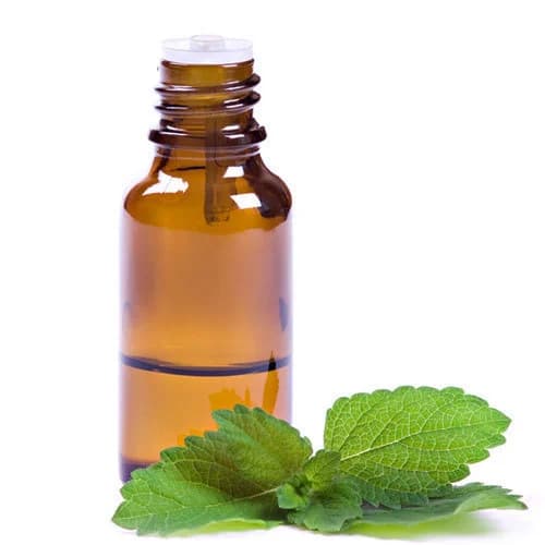 Crude Mentha Oil