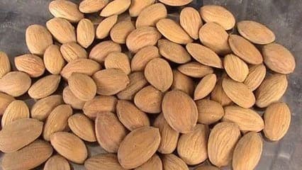Peach Kernel Oil