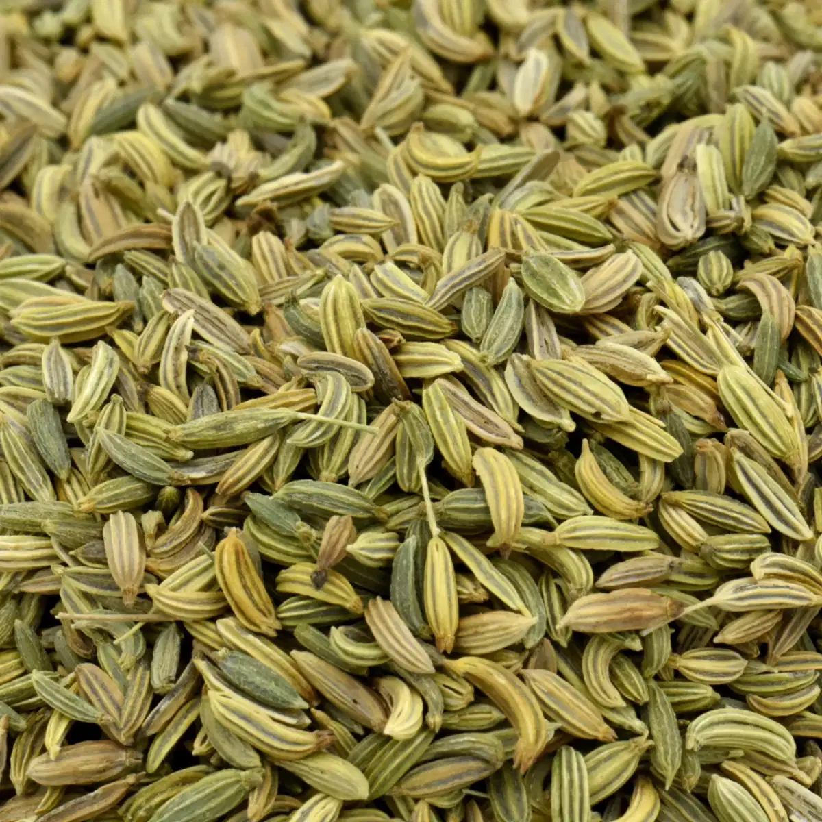 Fennel Oil